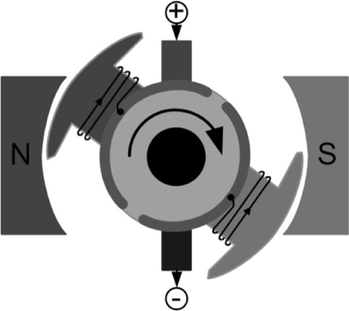 Diagram of an electric motor showing a central rotor with an arrow indicating clockwise rotation. The rotor is positioned between two curved magnets labeled "N" for north and "S" for south. Coils are wrapped around the rotor, connected to a power source with positive and negative terminals.