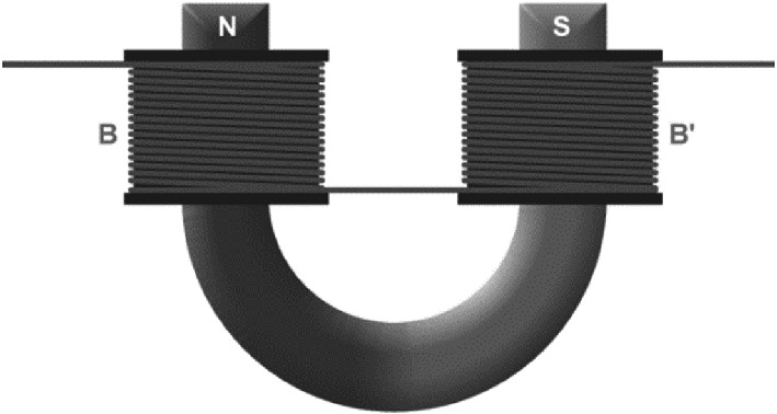A circuit diagram showing a U-shaped magnet with two coils wrapped around each end. The coils are labeled "N" and "S" at the top, with wires extending horizontally from each coil. The magnet is depicted in a dark color, and the coils are tightly wound.