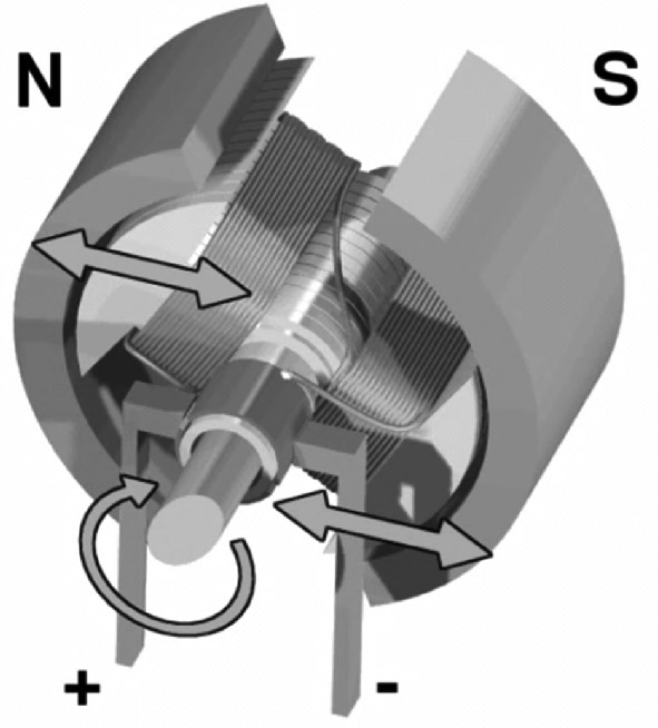 Diagram of an electric motor showing a cylindrical rotor inside a magnetic field. The rotor is positioned between north (N) and south (S) magnetic poles, with arrows indicating the direction of magnetic force and rotation. Positive (+) and negative (-) symbols denote electrical connections. The sketch illustrates the basic operation of the motor, highlighting the interaction between magnetic fields and electrical current to produce motion.
